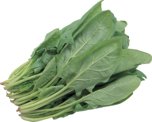 Salad PNG image-2803